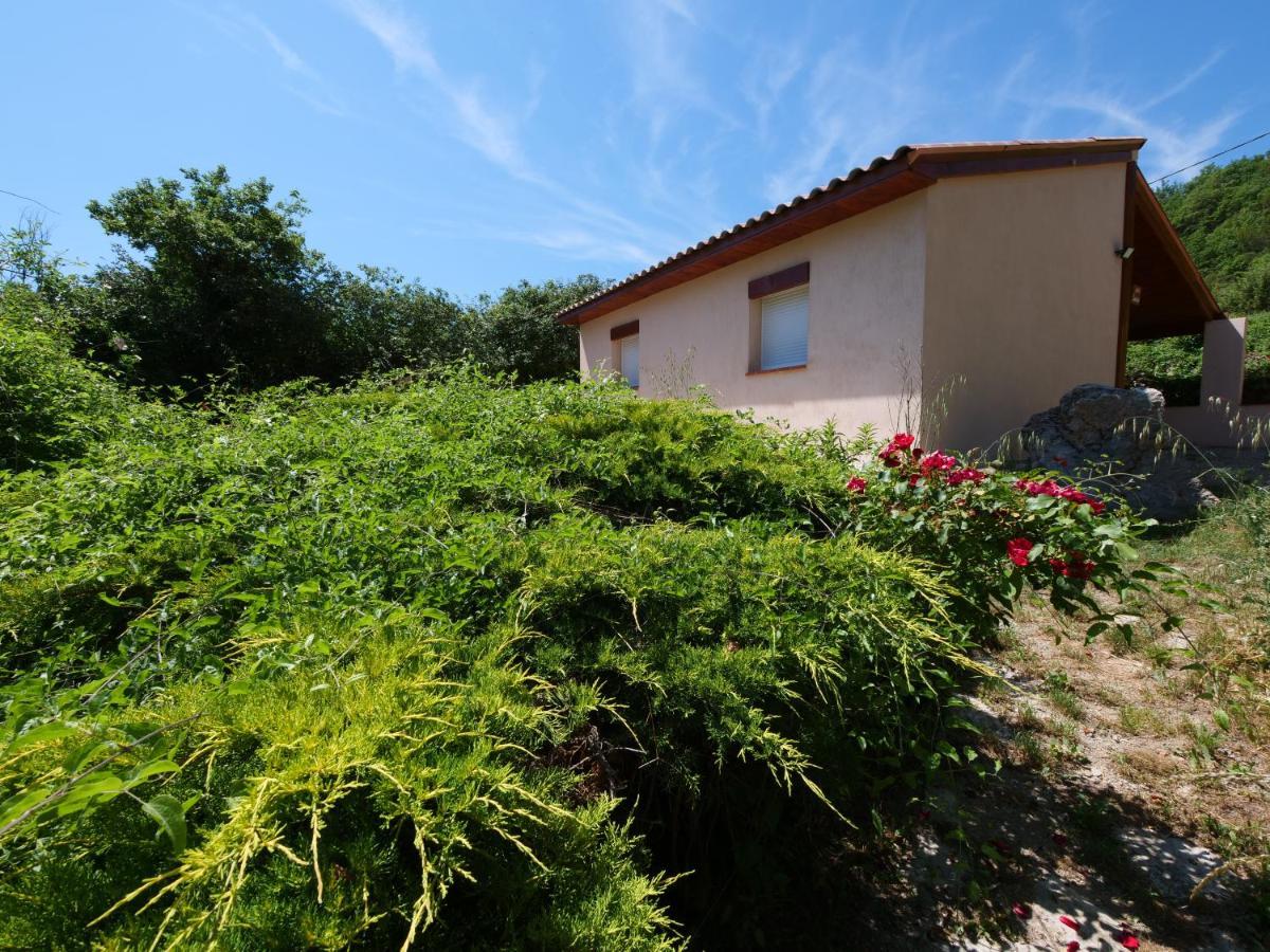 Campagne Saint Maurinet Montmeyan Exterior foto